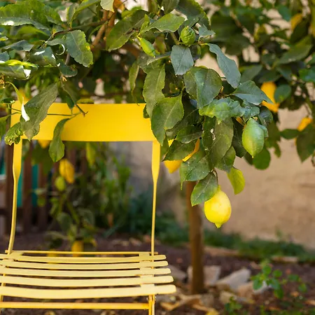 La Tour Du Terroir Bed & Breakfast